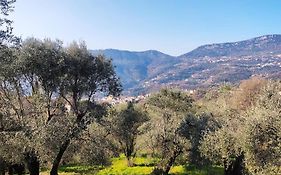 Bas De Villa. Cote D'Azur, A 20 Kms De Nice